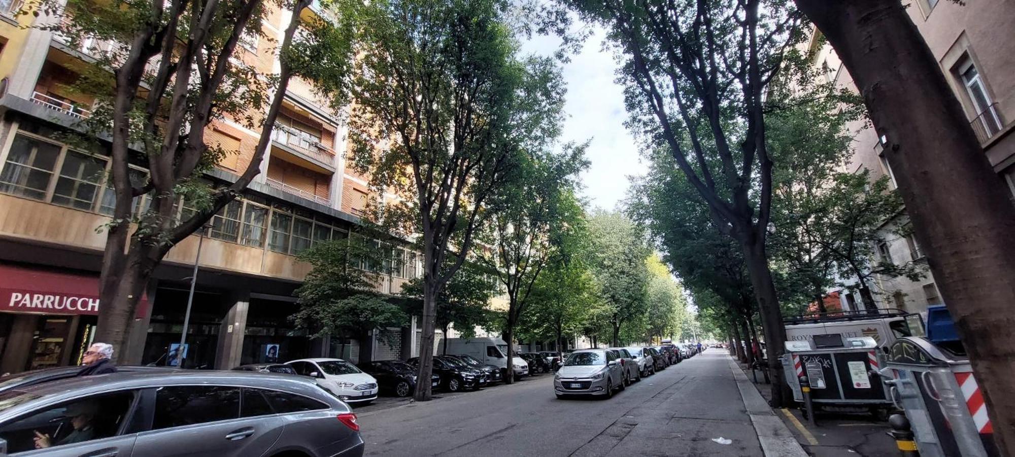 Madame Bologna — Foto 1